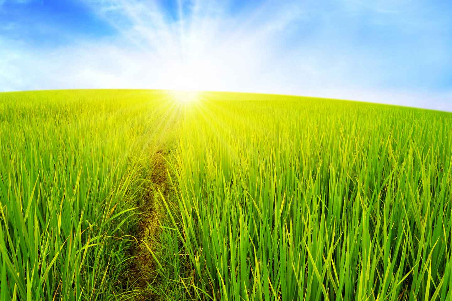Slider Background