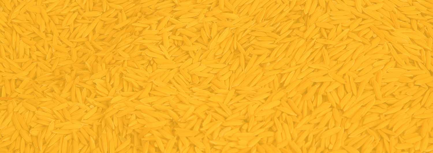 Divider Background